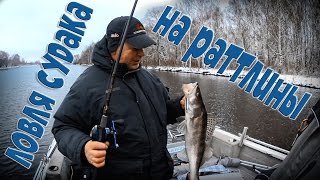 Ловля судака на раттлины