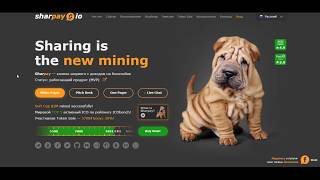 Sharpay - добавление кнопки мультишеринга на сайт. Детальный обзор MVP Sharpay