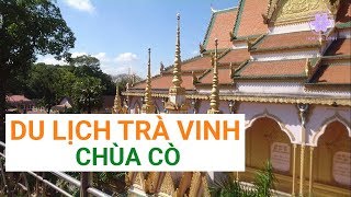 HÀNG NGÀN CON CÒ SỐNG NGÔI CHÙA NÀY | CHÙA CÒ Ở TRÀ VINH | DU LỊCH MIỀN TÂY