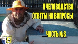 ПЧЕЛОВОДСТВО. №3 ОТВЕТЫ НА ВОПРОСЫ. ПРЯМЫЕ ТРАНСЛЯЦИИ