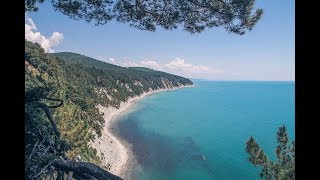 Бетта 2019! Очень Красиво!