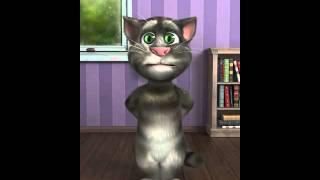 Talking Russian Cat asks for Vodka