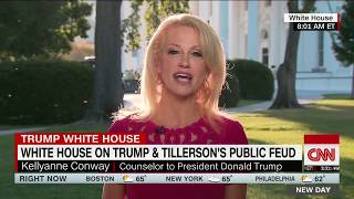 Kellyanne Conway: Las Vegas shooting and gun control