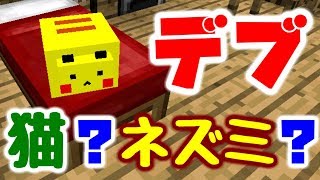 【マインクラフト】家具MODを追加してデブ猫と生活したい #1 デブ...猫?ピ〇チュウ??【マイクラ実況】