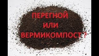Разведение червей на перегное. Отличие вермикомпоста от перегноя.