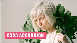 Simple Accordion With html and css | Pure CSS Accordion | Web Design