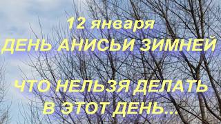 12 января ДЕНЬ АНИСЬИ ЗИМНЕЙ . народные приметы и традиции
