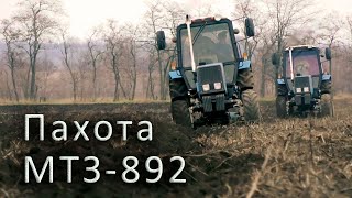 Пахота! Трактор МТЗ-892