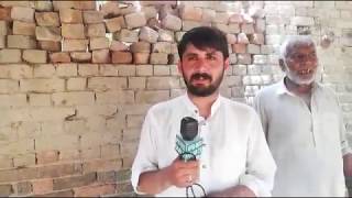 Sahiwal Australia  cros cow for sale in Pakistan on YouTube 5-8-2019