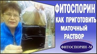 Как разводить фитоспорин. Как приготовить маточный раствор фитоспорина.