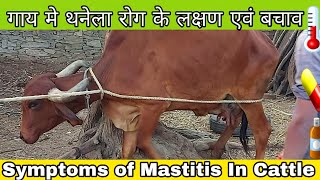 Mastitis Treatment in cow in Hindi