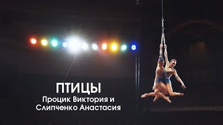 Птицы [Цирковой номер в жанре воздушной акробатики]
