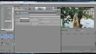Как выделить часть видео в рамку с помощью Sony Vegas Pro 12.0.
