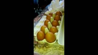 Инкубационное яйцо Марана из Германии.
