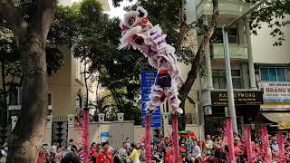 Múa Lân Sư Rồng - Hằng Anh Đường Mai Hoa Thung Chuẩn Tết 2020 | Long Shi | Lion Dance Dragon Dance