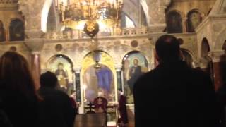 Saint Alexander Nevsky- Свети Александър Невски 16-2-2014