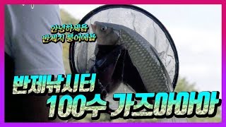 이번엔 100수 가즈아아아아아아아!! #나루예TV #반제낚시터 #붕어낚시