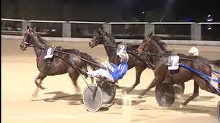Trotto 09/12/2018 - 7ª corsa - G.P. ROYAL MARES
