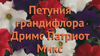 Петуния грандифлора Дримс Патриот Микс ? обзор: как сажать, семена петунии Дримс Патриот Микс