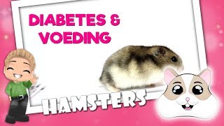 ?‍⚕️? Diabetes & Voeding bij Dwerghamsters