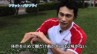 究極のフラット・バタフライ