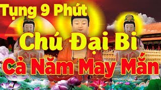 Ai Nghe Được Chú Đại Bi Này Cả Năm Sẽ Gặp Nhiều May Mắn Bình An Tài Lộc Về Nhà