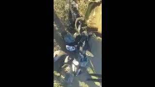 Необычный улов
