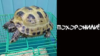 АНЕКДОТ В ЗООМАГАЗИНЕ!