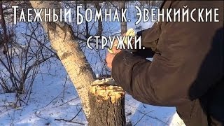 Как разжечь костер. Эвенкийская стружка для розжига.
