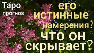 Таро прогноз ЕГО ИСТИННЫЕ НАМЕРЕНИЯ? ЧТО ОН СКРЫВАЕТ? Онлайн гадание на картах Таро asmr видео Hygge