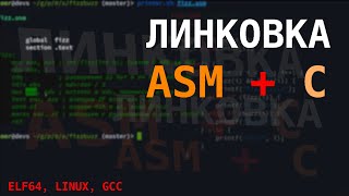 Программа на С с линковкой функций на ASM