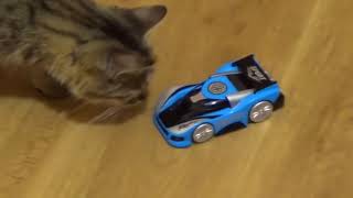Антигравитационная машинка Wall Racer в Калининграде
