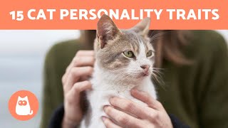 15 Best Cat PERSONALITY Traits ? Do You Know them ALL?