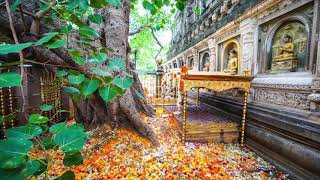The Long Discourses: Sutta 28 - Sampasādaniya Sutta: Inspiring Serene Faith