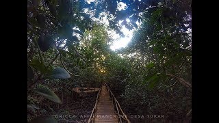Capturing "Wisata Hutan Mangrove" Desa Tukak Kec. Tukak Sadai Kab. Bangka Selatan