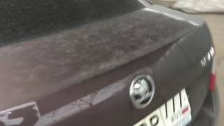 Коврики в салон Skoda Octavia A7 Euromat 3D