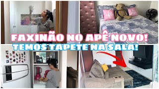 Faxina Rápida| Organizando o Apê todo | Rotina de uma YouTuber