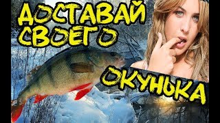 Окунь Бьёт!!!!  кивки ломаются!!!!! Рыбалка в Омске