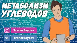 01. Метаболизм углеводов