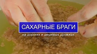 Сравнение двух сахарных браг на сухих и прессованных дрожжах