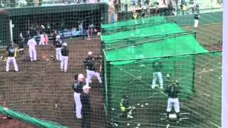 2015年プロ野球キャンプイン 沖縄 ☆ 阪神タイガースオープン戦日程 ☆ キャンプ応援ツアー