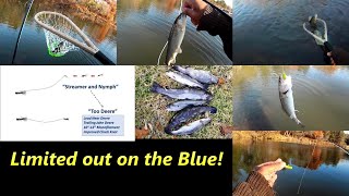How We Fished the Blue River Saturday... Limited Out! #flyfishing