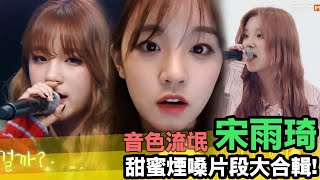 看完保證被圈粉! 音色流氓宋雨琦甜蜜煙嗓大合輯｜우기 음색 모음