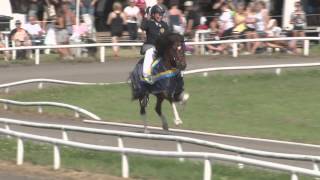 Lap of Honor Johanna Wingstrand, Swedish Champion in V1 Young Rider 2013