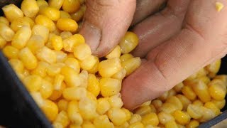 Ловля плотвы на кукурузу