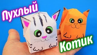 Пухлые животные - Котик из бумаги