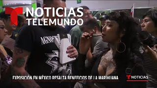 Activistas y consumidores de cannabis luchan por su legalización en México | Noticias Telemundo