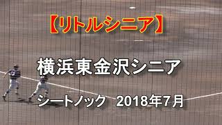 【リトルシニア】　横浜東金沢シニア　シートノック　2018年7月