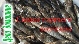 Салака горячего копчения своими руками на канале"Дела домашние"