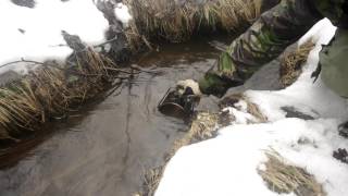 Cold and rainy solo winter overnighter. Bushcraft and Survival